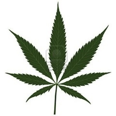 foglia di cannabis