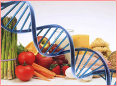 simbolo DNA e vari alimenti
