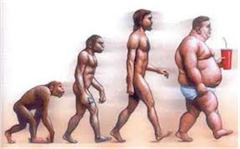 evoluzione umana fino all'obesità