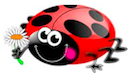 logo coccinella, scelto da Mariangela