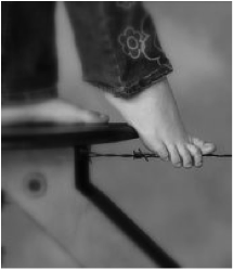 piede su filo spinato